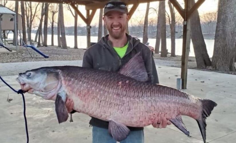 Missouri angler catches 112-pound invasive black carp