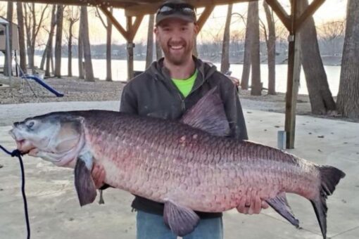 Missouri angler catches 112-pound invasive black carp