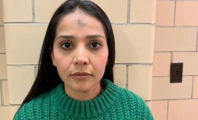 Mexican cartel boss’s daughter pleads guilty to dealing with blacklisted companies