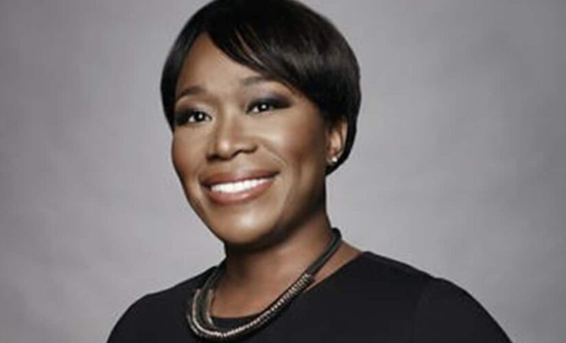 MSNBC personalities share 2019 photo of crowded Miami Beach in failed coronavirus shaming attempt