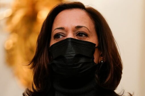 Vice President Harris is “not doing the border,” senior adviser says