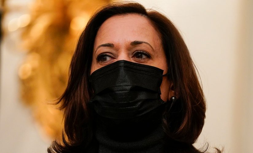 Kamala Harris silent on mounting Cuomo allegations after Kavanaugh crusade, #MeToo support