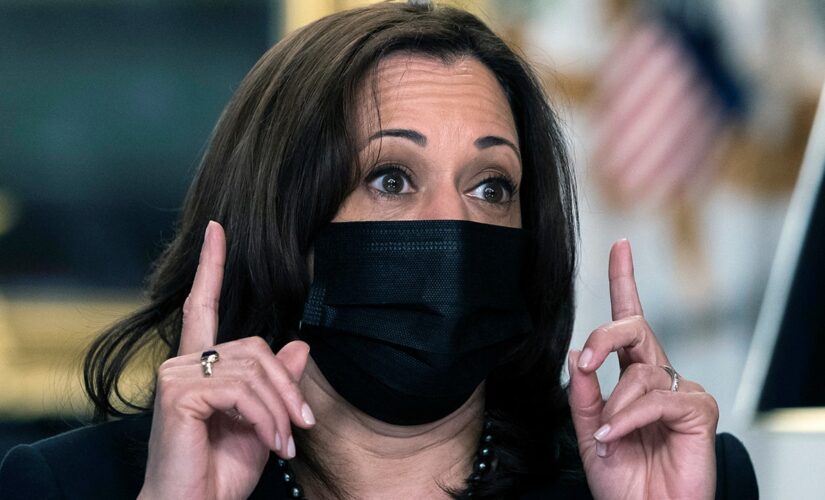 Harris defends Biden Cabinet after criticism over lack of Asian Americans: ‘Still more work to be done’