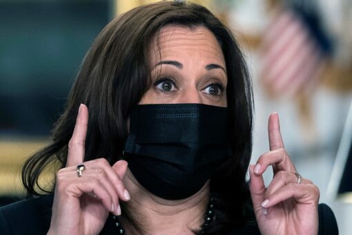 Harris defends Biden Cabinet after criticism over lack of Asian Americans: ‘Still more work to be done’