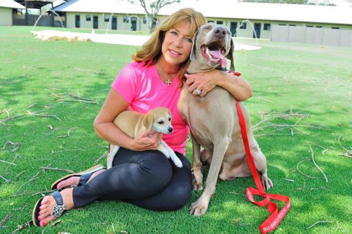 Dogs will die because of liberal media malpractice, Big Dog Ranch Rescue founder says