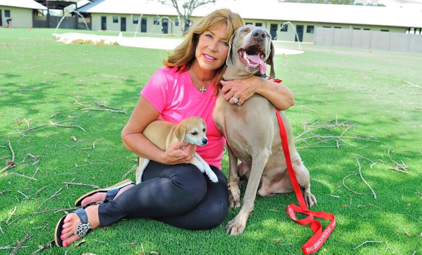 Dogs will die because of liberal media malpractice, Big Dog Ranch Rescue founder says