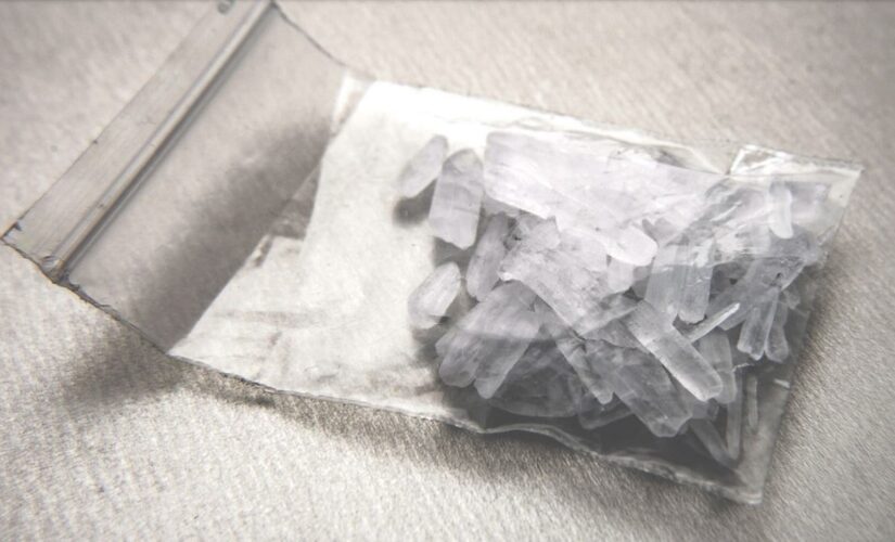 Illegal immigrant cousins sentenced for operating Georgia meth lab