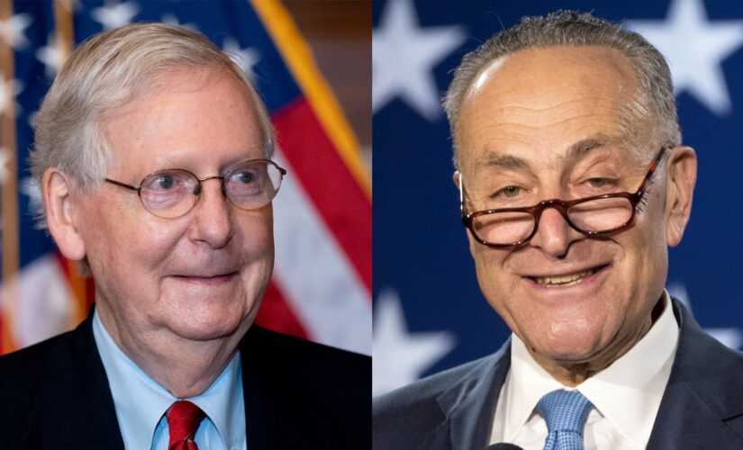 Senate set for clash on hot-button elections bill Dems say boosts voting rights, GOP decries as power grab