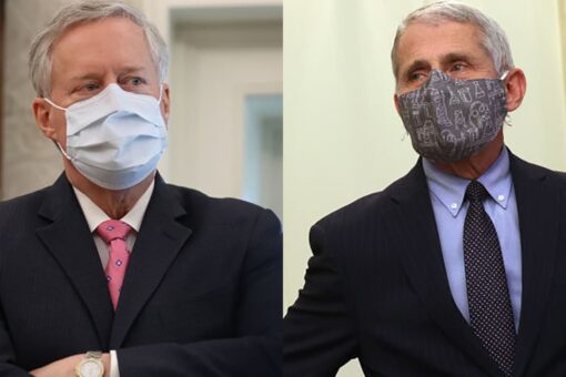 Meadows claims Fauci is consistent only in his ‘inconsistency’