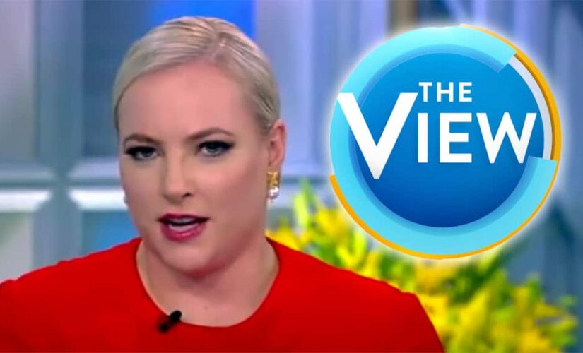 Meghan McCain: The left will have to ‘reconcile’ whether identity politics trumps job qualifications