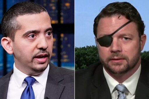 Crenshaw slams MSNBC host for claiming congressman tore ‘very young children from their parents’ arms’