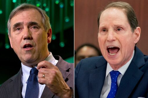Oregon’s Dem senators silent on left-wing courthouse riot in Portland