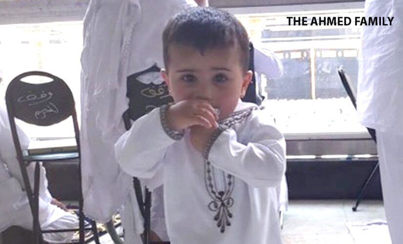 NJ boy, 3, mauled to death by pit bulls has been identified
