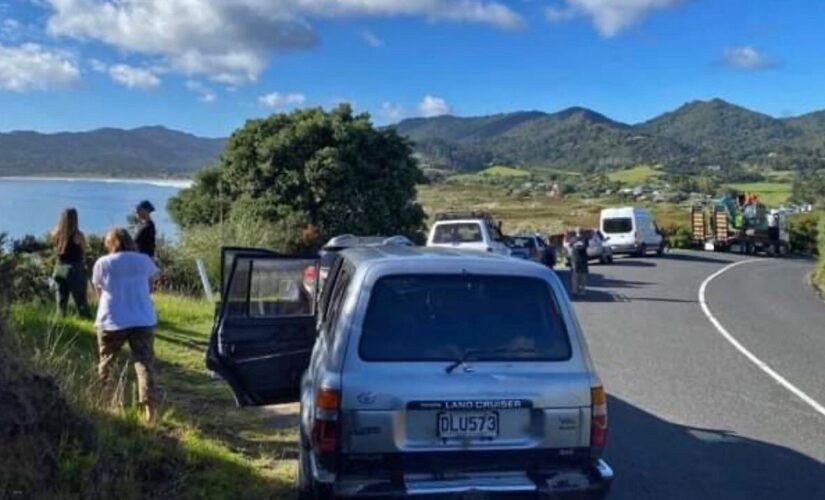 New Zealand sees 8.1 magnitude earthquake, lifts tsunami warnings following series of quakes