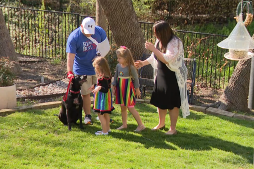 Texas dog helped fight off knife-wielding home intruder, family says