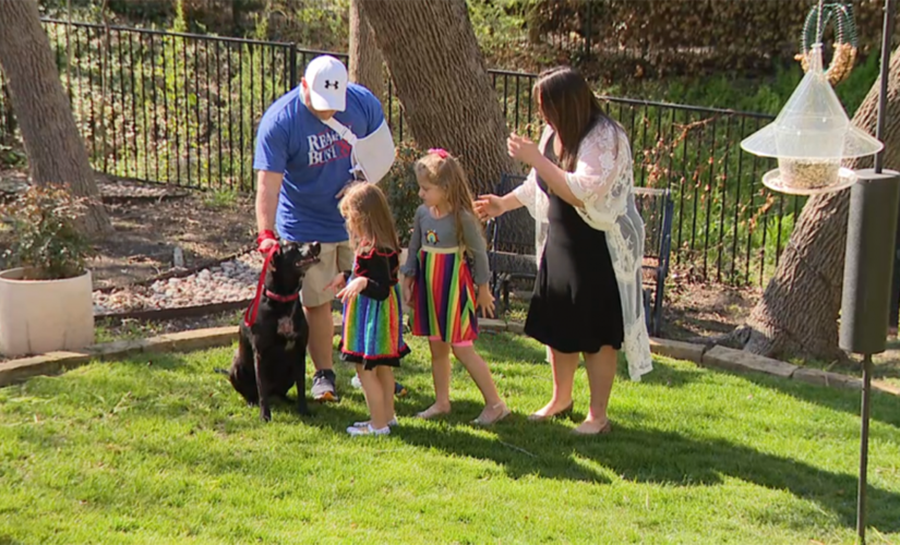 Texas dog helped fight off knife-wielding home intruder, family says