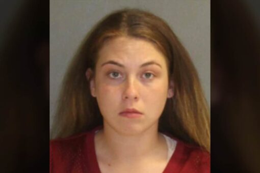 Florida sheriff says he was hit by driver who was shopping on Amazon on her phone