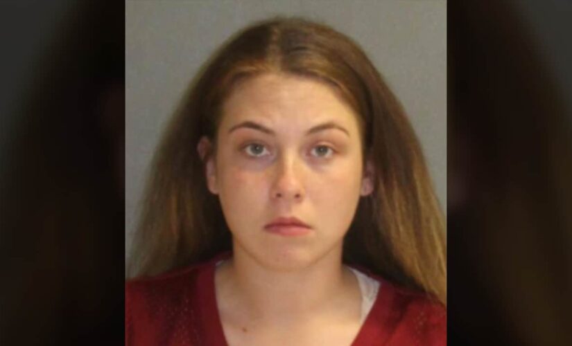 Florida sheriff says he was hit by driver who was shopping on Amazon on her phone