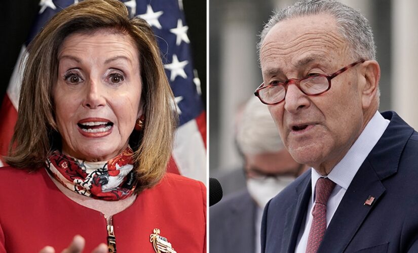 Reps. Roy, Budd, Hice: HR1 is Pelosi, Schumer’s dangerous ploy to cancel Republicans at the ballot box