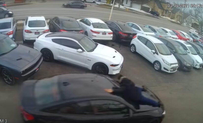 Canadian salesman tossed from hood of stolen car as thief drives away in wild surveillance video