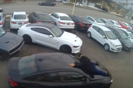 Canadian salesman tossed from hood of stolen car as thief drives away in wild surveillance video