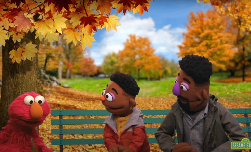 Sesame Street introduces two Black Muppets to teach Elmo skin color ‘an important part of who we are’