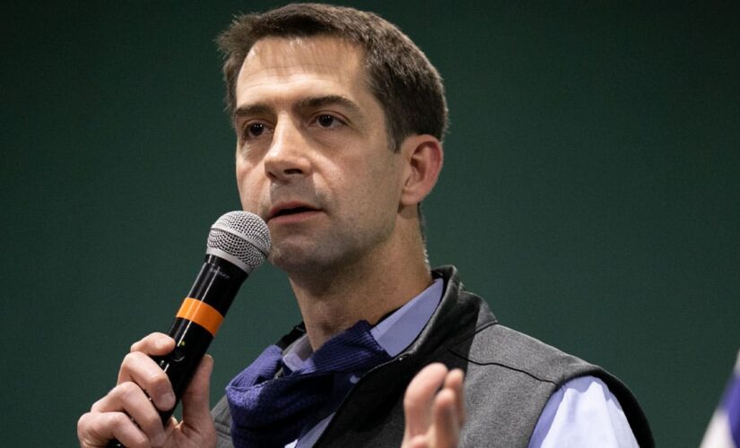 Tom Cotton introduces legislation to banish critical race theory from military