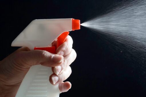 Reddit user incurs wrath of sister after spritzing her with spray bottle, like a cat, during argument