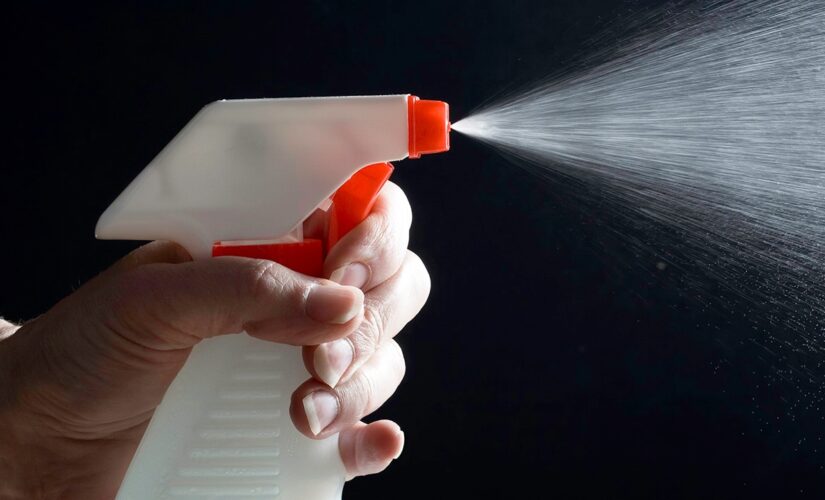 Reddit user incurs wrath of sister after spritzing her with spray bottle, like a cat, during argument