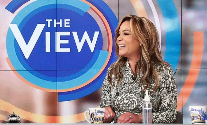 Joey Jones hits back at ‘View’ host’s call for assault rifle bans: ‘A cloak of ignorance’