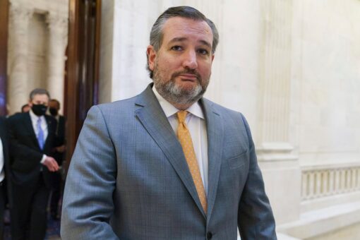 Cruz calls out Harris on border crisis, surely ‘admin will allow media to film the empty cages’