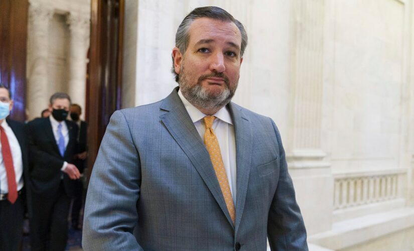 Cruz calls out Harris on border crisis, surely ‘admin will allow media to film the empty cages’