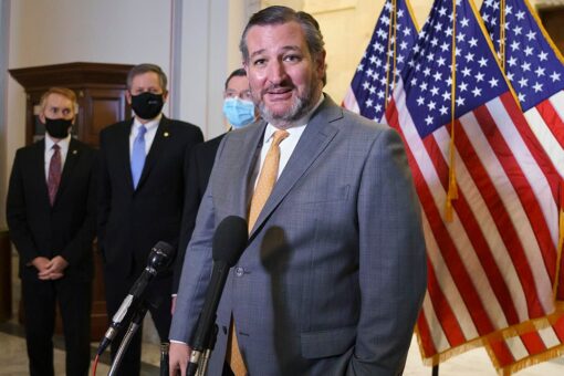 Cruz swats away reporter’s request for him to wear a mask: ‘You’re welcome to step away if you’d like’
