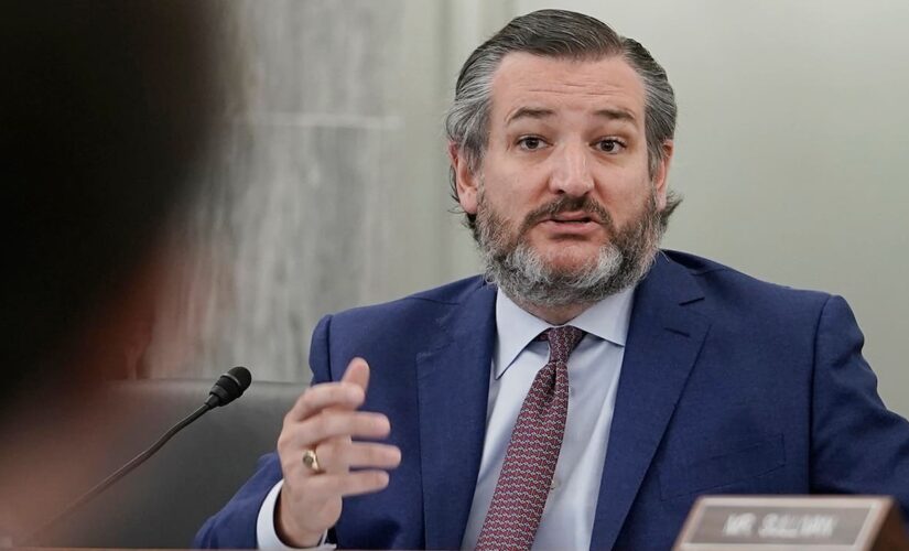 Ted Cruz ‘fighting for’ media access at southern border