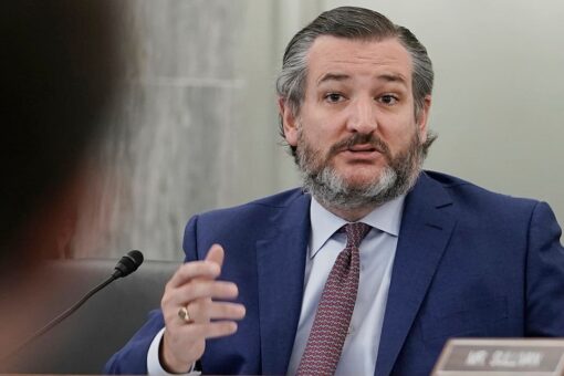 Ted Cruz ‘fighting for’ media access at southern border