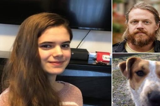 Tennessee teen being ‘held against her will’ by tech-wiz father since October 2019 kidnapping: officials