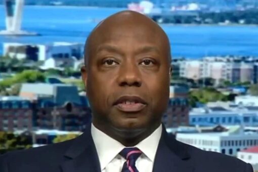 Tim Scott fires back at liberal media critics over ‘woke supremacy’ remark: Left has ‘intolerance’ for dissent