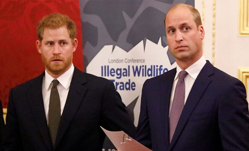 Prince William’s response to Meghan Markle, Prince Harry’s racism allegations is ‘unusual’: royal expert