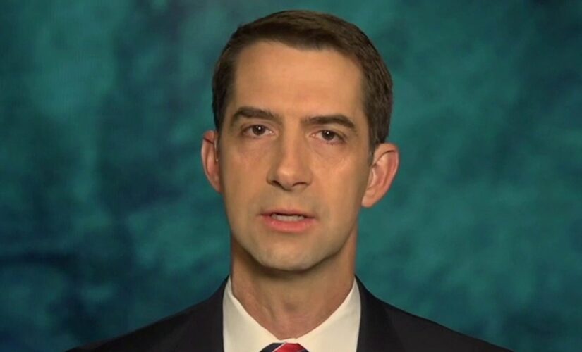 Cotton, Greene accuse Biden of prompting ‘superspreader’ after migrants released into US test positive