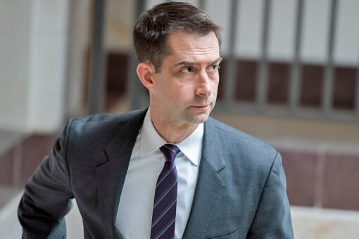 Tom Cotton’s Big Idea: Raise the minimum wage while keeping American jobs