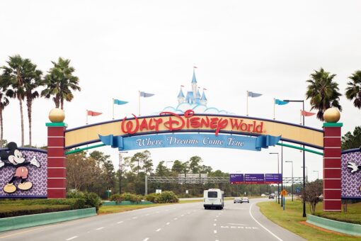 Disney employee claims he was fired after tasting water from Disney Springs fountains, sharing video to TikTok