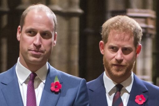 Harry, William could have made ‘brilliant’ team, report says