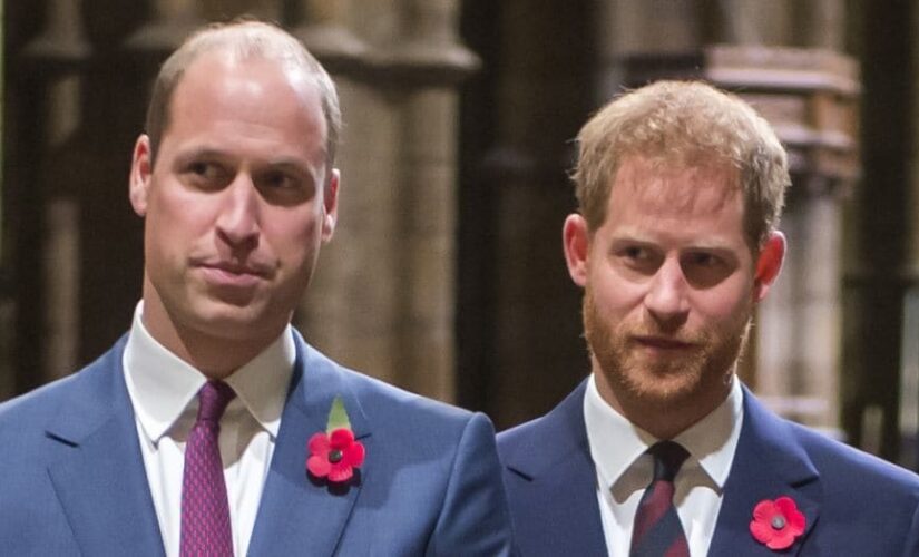 Harry, William could have made ‘brilliant’ team, report says