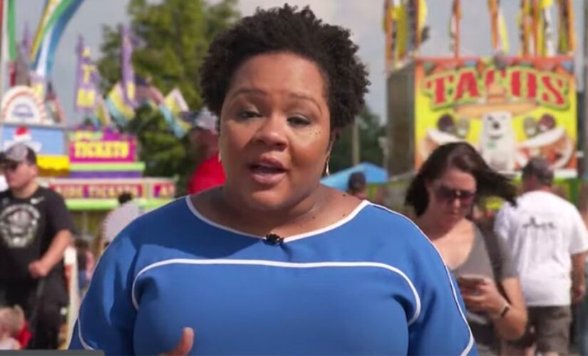 Liberal PBS White House reporter allows ‘sources’ to anonymously push pro-Biden talking points