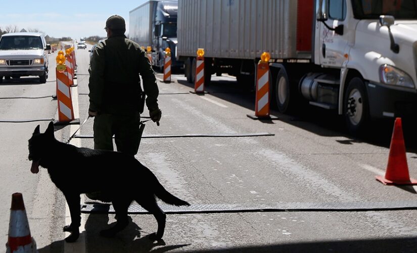 Texas congressman, ex-sheriff: Biden admin ‘almost aiding and abetting’ human trafficking