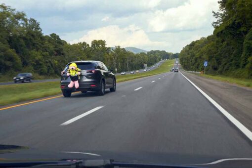 Giant pink bear strapped to car reveals a lot driver awareness
