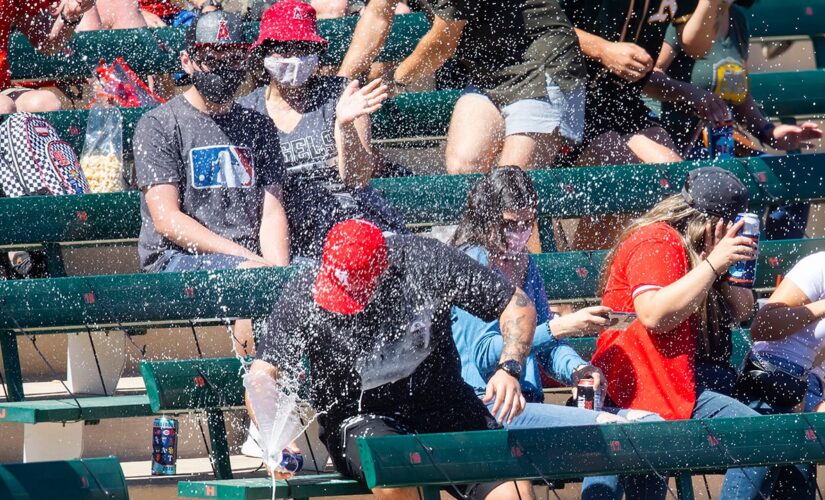 MLB fan’s beer explodes when screaming line drive flies into stands