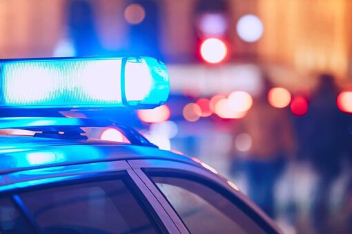 Chicago concealed-carry holder, 69, thwarts would-be robbers by shooting 1 in the knee, police say