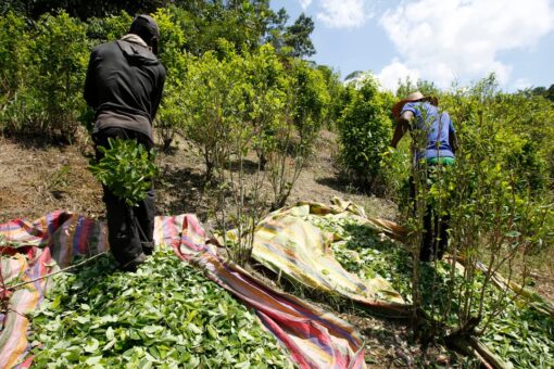 Colombian town uses discipline, speakers to stay virus-free