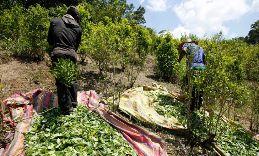 Colombian town uses discipline, speakers to stay virus-free